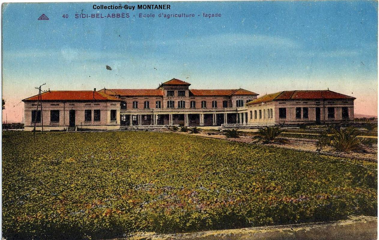 Sidi bel abbes 045- C Montaner_2.JPG